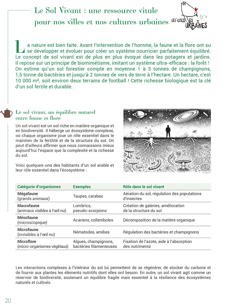 Com' sur un Plateau - Page 18