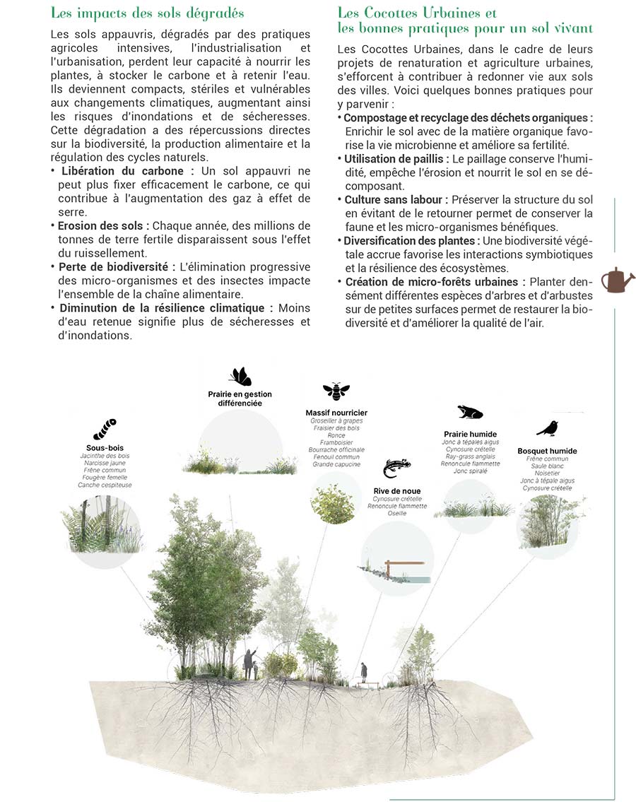 Com' sur un Plateau - Page 19