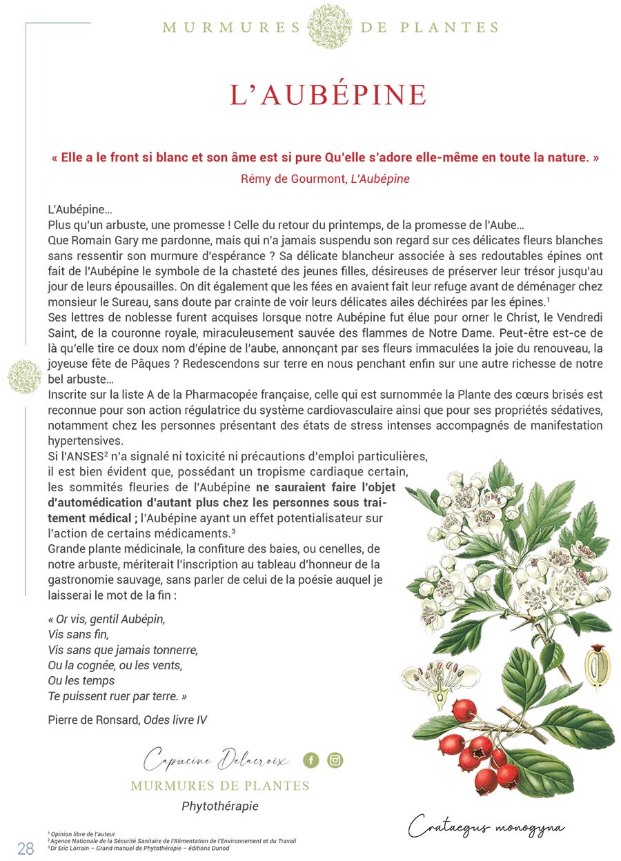 Com' sur un Plateau - Page 26